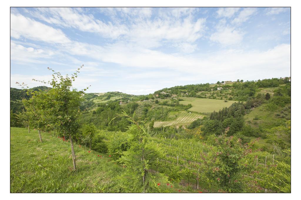 Bed & Breakfast Montesterlino Cesena Exterior foto